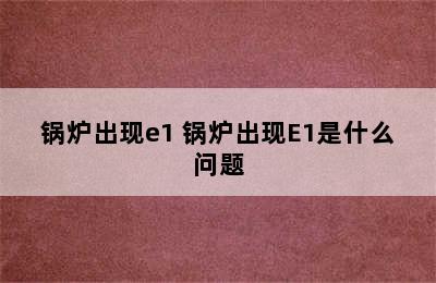 锅炉出现e1 锅炉出现E1是什么问题